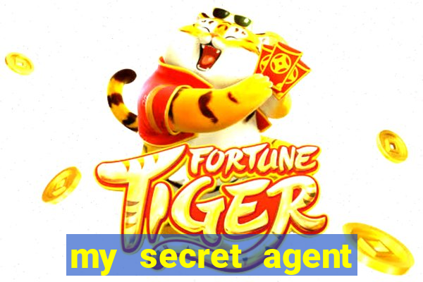 my secret agent husband legendado